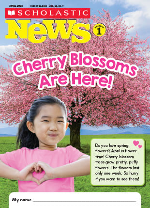 Cherry Blossoms Are Here! - April 2026