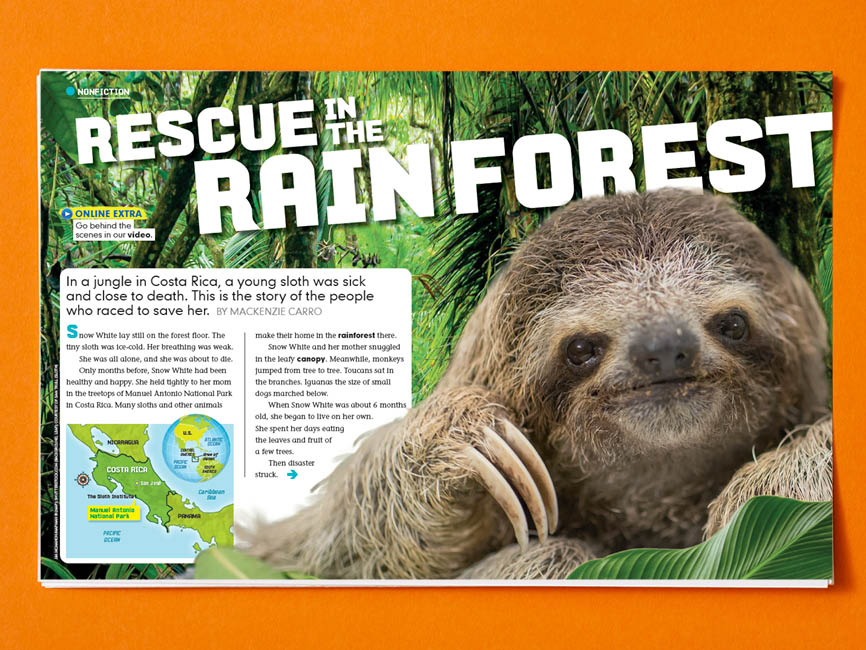 Rain Forest Rescue