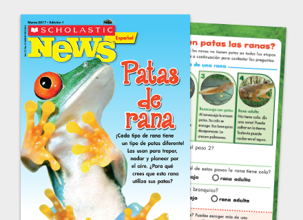 Scholastic News Grade 1 Online Resources 