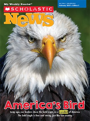 Eagles Facts and Trivia: Puzzlers for the Bird-brained [Book]