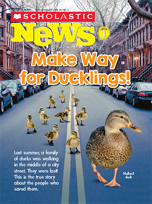 Make Way For Ducklings March 2020