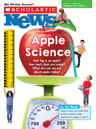 Apple Observations – Middle School Science Blog