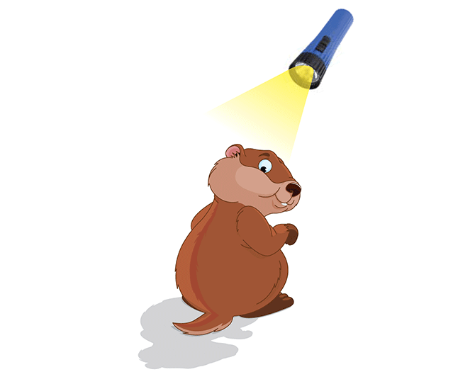 A groundhog with a flashlight shining on it