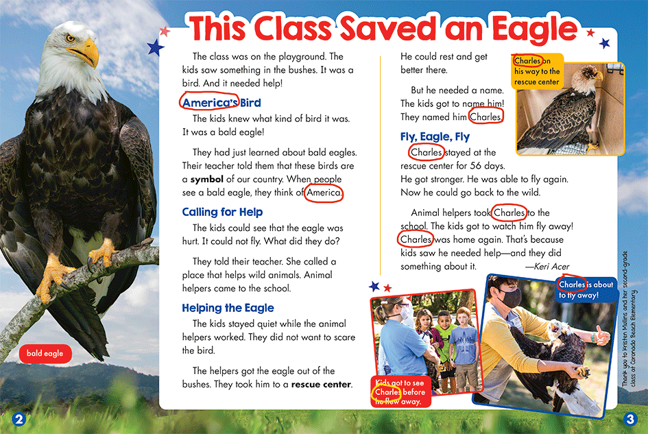 Lesson Plan: Could You Save an Eagle?